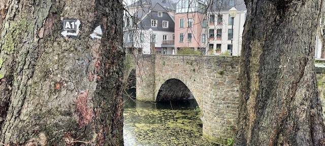 Besondere Brücken in Essen und Umgebung