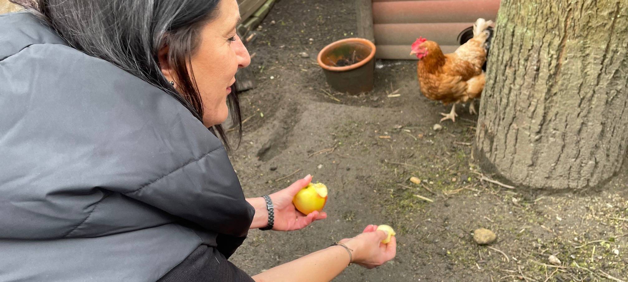 Tierheim Essen: Konstantin und seine Hennen