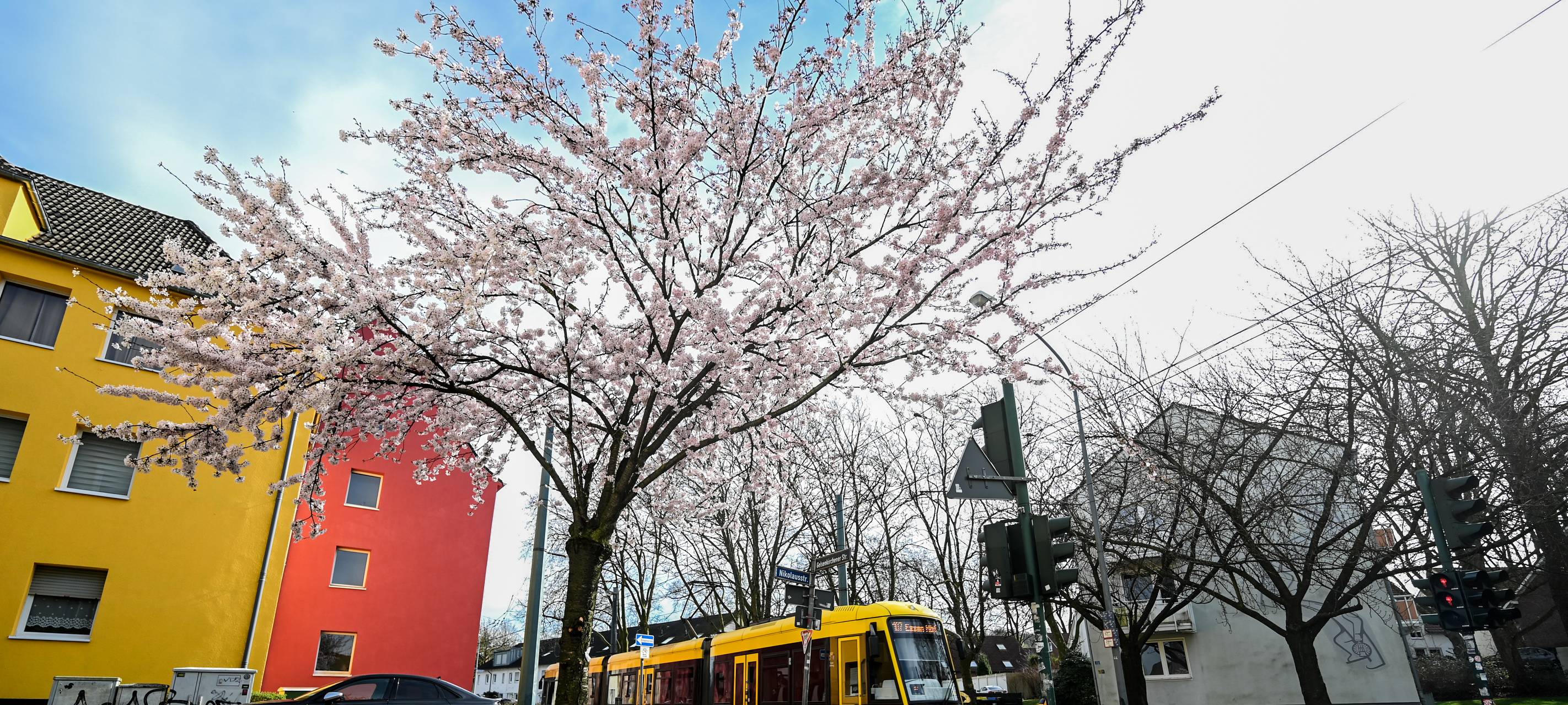 Frühling in Essen - das sind Eure Highlights