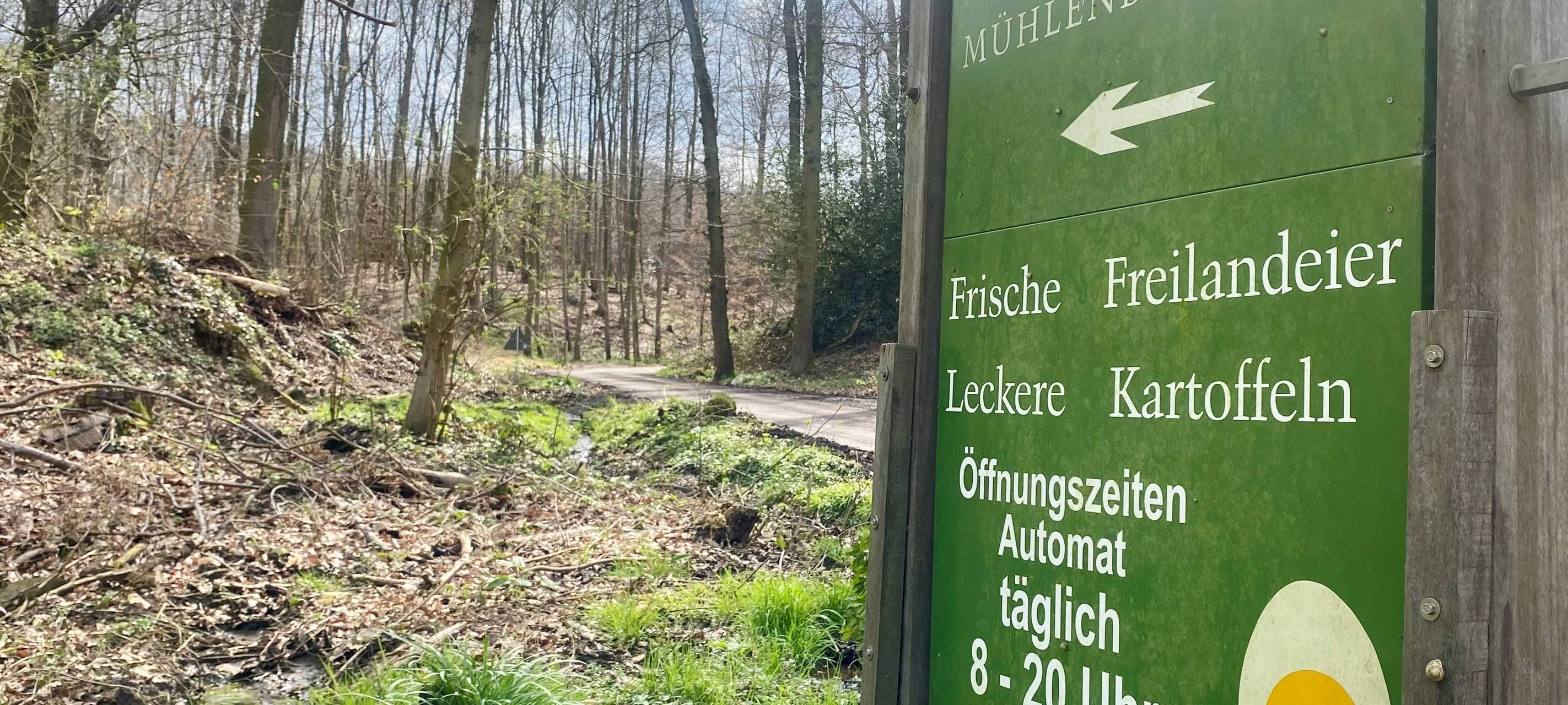 Nach Hang-Abrutsch in Essen: Straße bleibt länger gesperrt - Hofladen bedroht