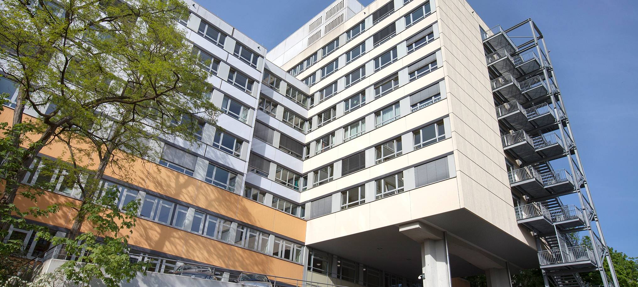 Nach Pilzvergiftung in Essen: Weitere Leber-Transplantation