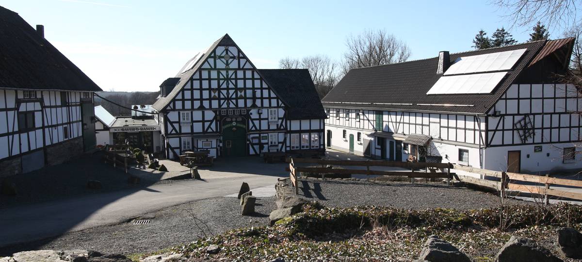 Hochspannung made in Essen - Wer sitzt auf der nächsten Krimi-Couch?