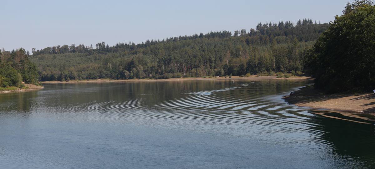Hochspannung made in Essen - Wer sitzt auf der nächsten Krimi-Couch?