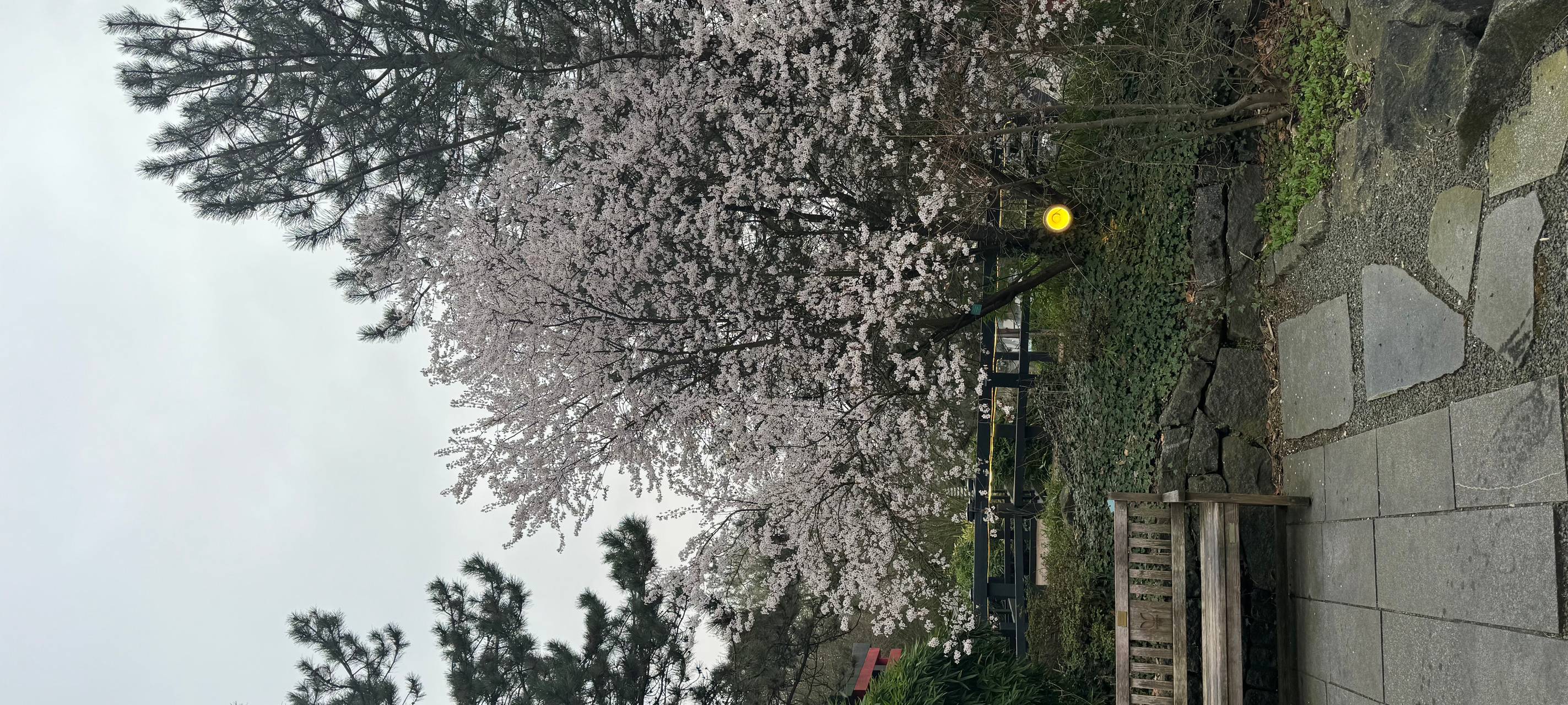 Essen feiert 20 Jahre Kurhaus im Grugapark