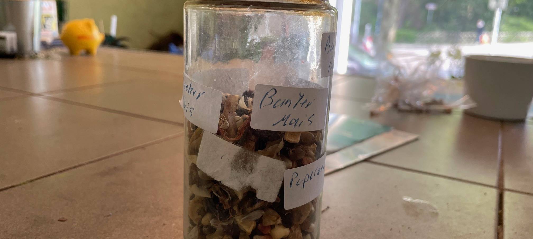 Essen hat wieder eine Pflanzensamenbank