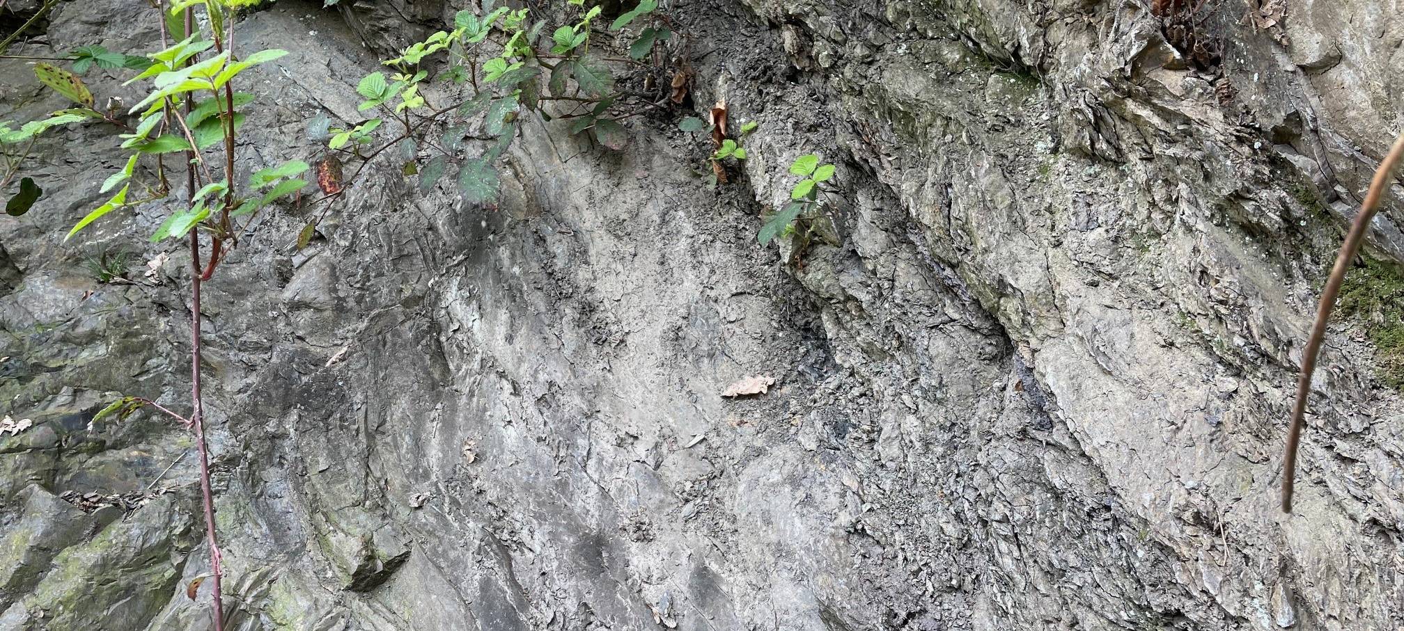 Radio Essen Stadtreporter sucht das Meer