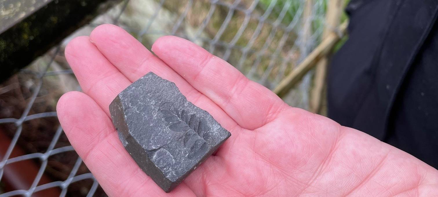Schatzsuche auf Zollverein in Essen: Fossile, Blümchen und Tiere