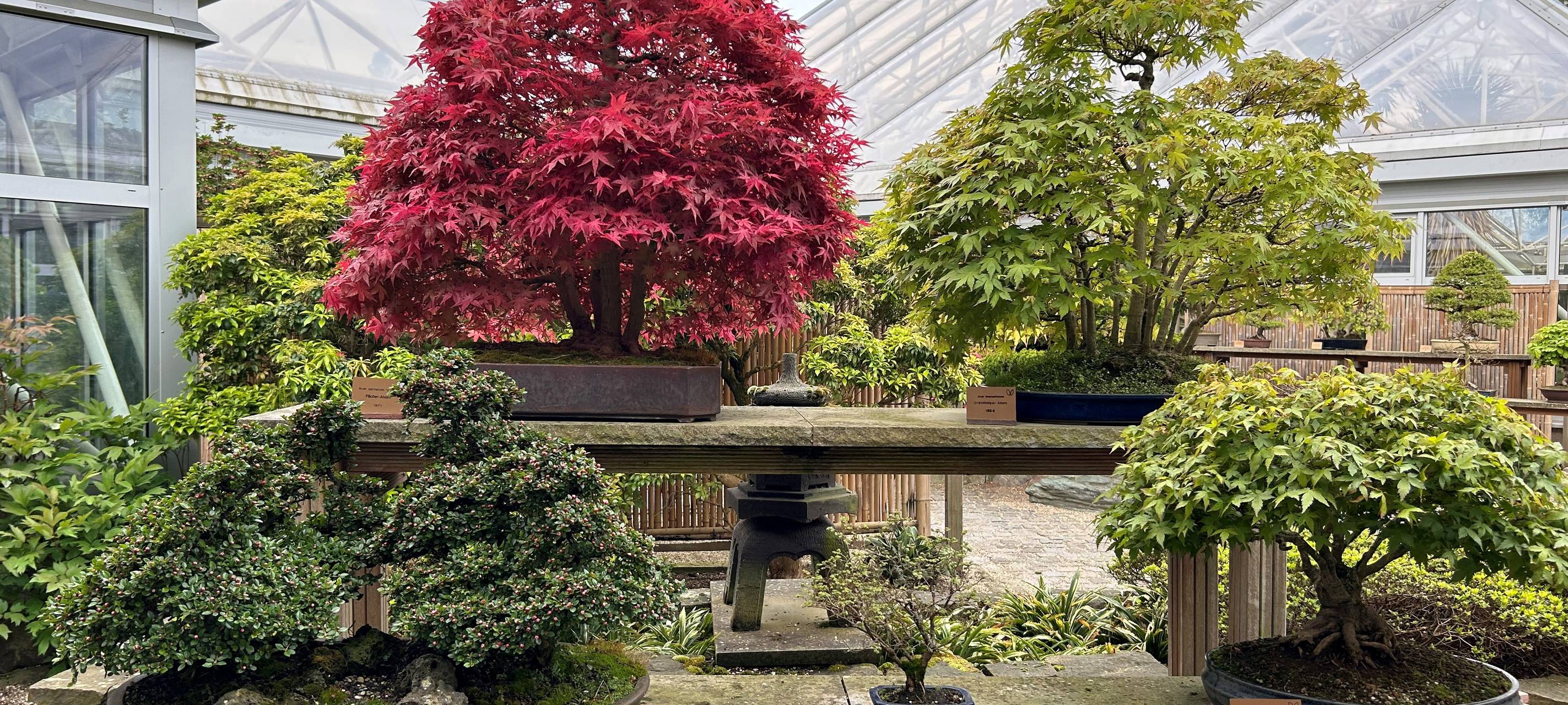 Grugapark Essen bekommt neues Ticketsystem