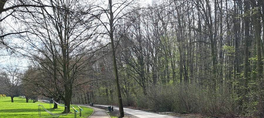Neuer Radweg in Essen im Hallopark
