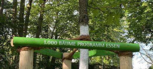 Neue Bäume in Essen: Grün und Gruga beendet die Pflanzsaison