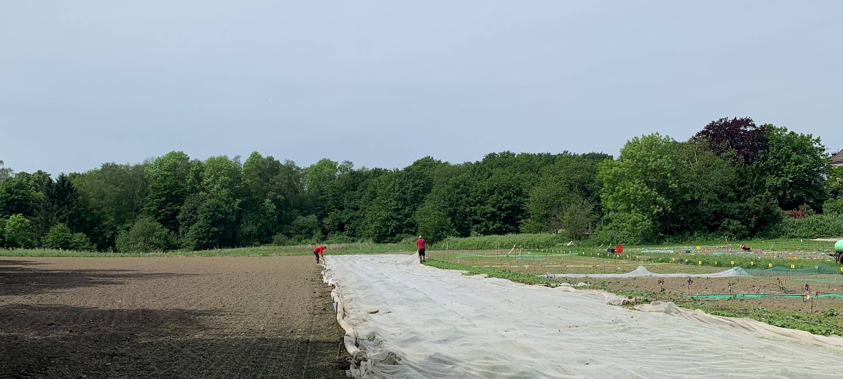 Das Radio Essen-Frühschicht-Praktikum - Moderatoren in Eurem Job