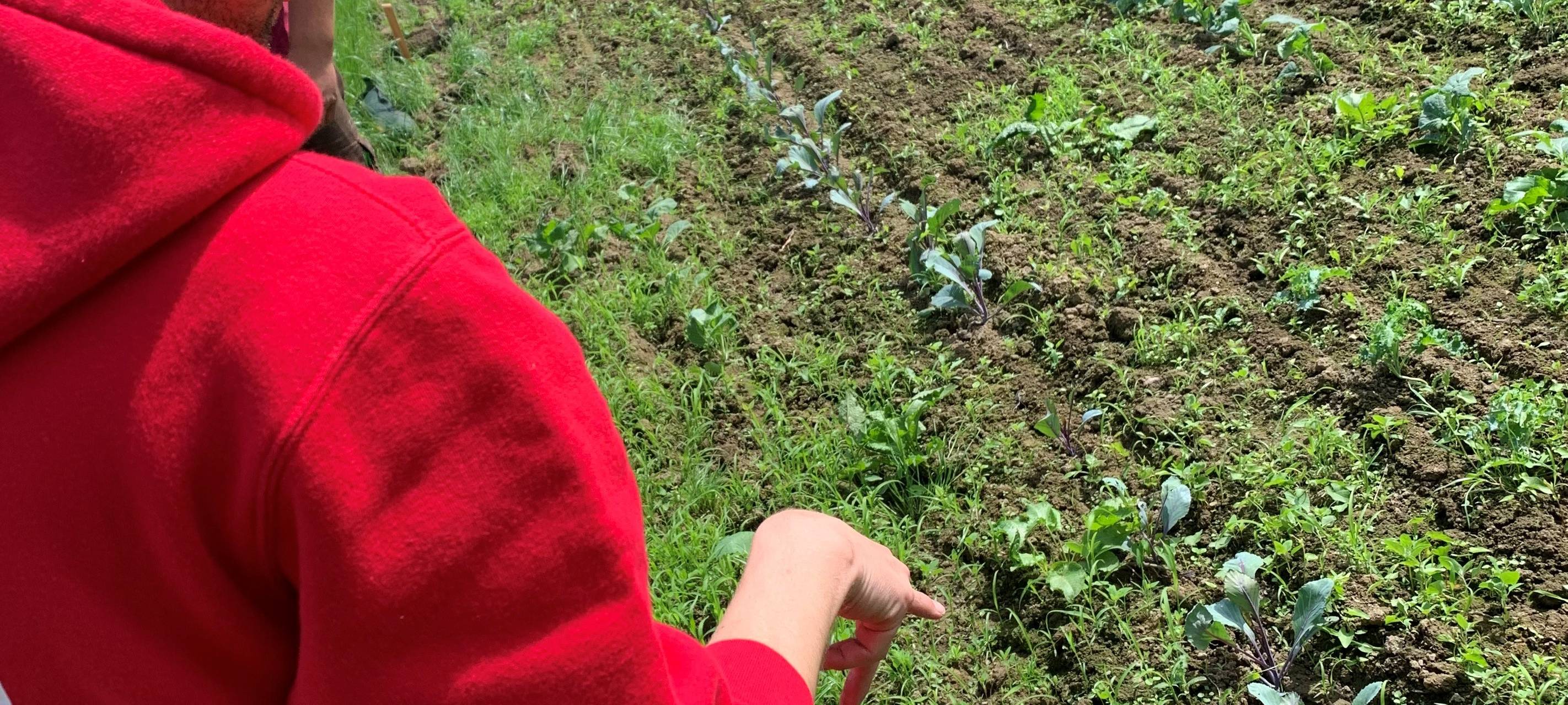 Das Radio Essen-Frühschicht-Praktikum - Moderatoren in Eurem Job