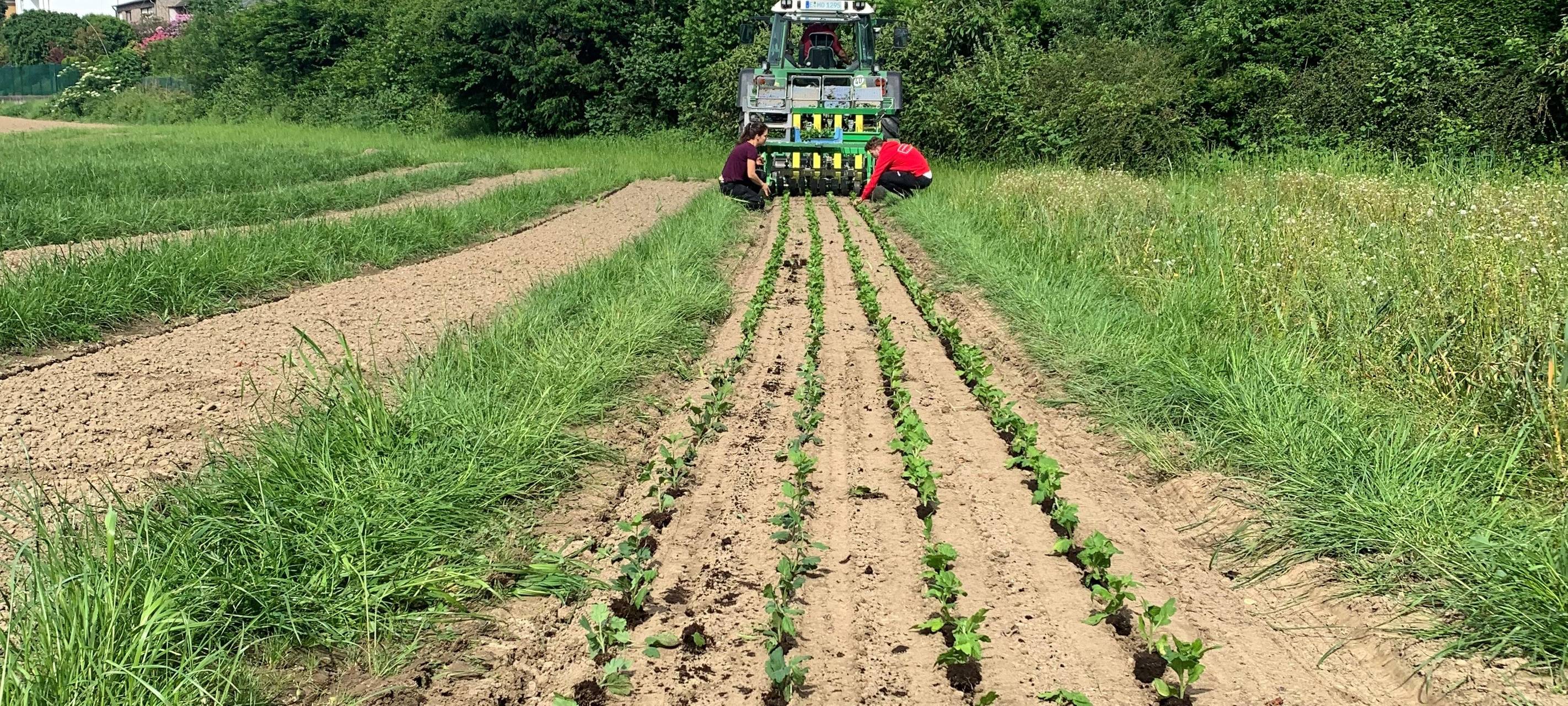 Das Radio Essen-Frühschicht-Praktikum - Moderatoren in Eurem Job