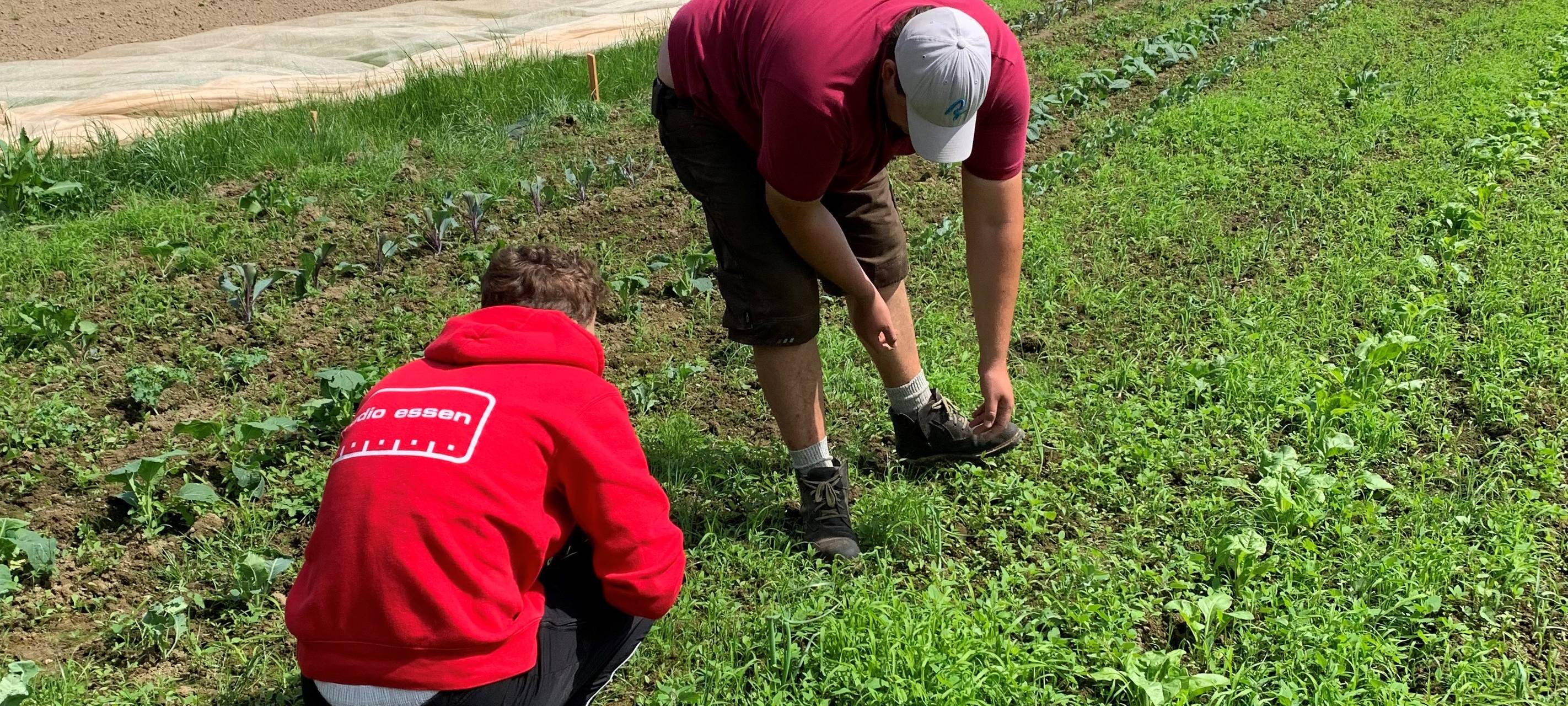 Das Radio Essen-Frühschicht-Praktikum - Moderatoren in Eurem Job