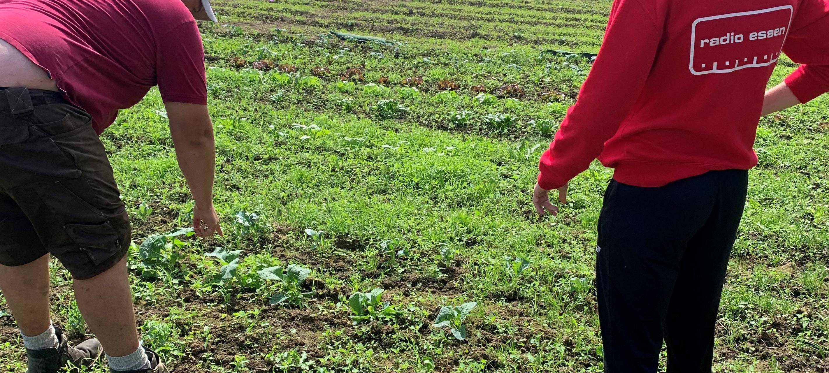 Das Radio Essen-Frühschicht-Praktikum - Moderatoren in Eurem Job