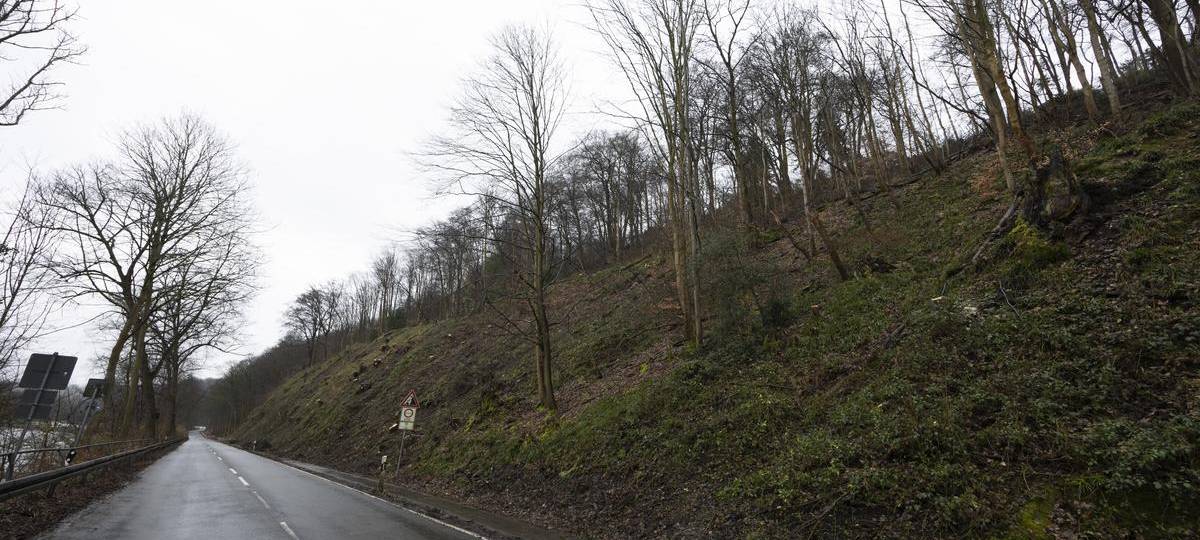 Wichtige Straße in Essen nach Hangrutsch wieder freigegeben
