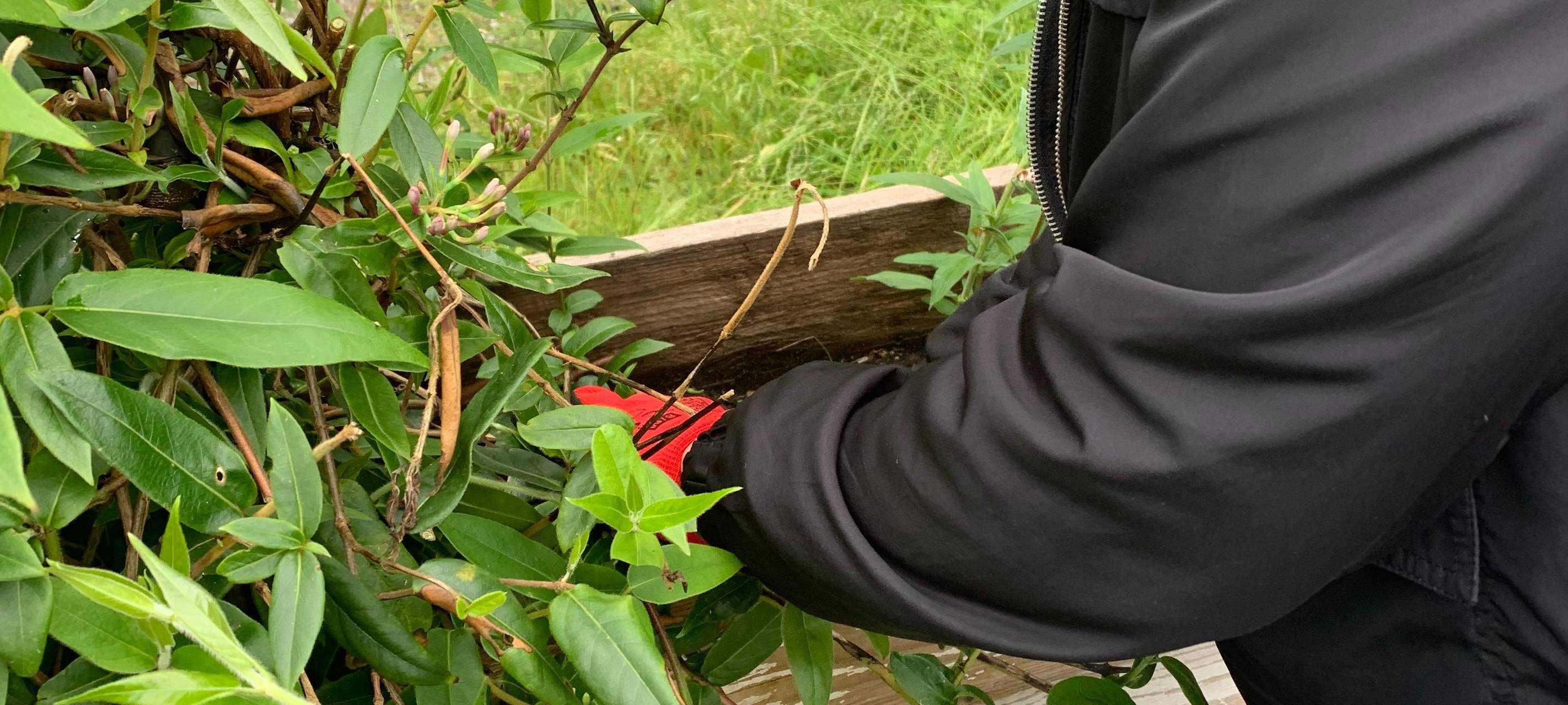 Maschinenhaus Essen mit Mitmach-Tag nach Brand