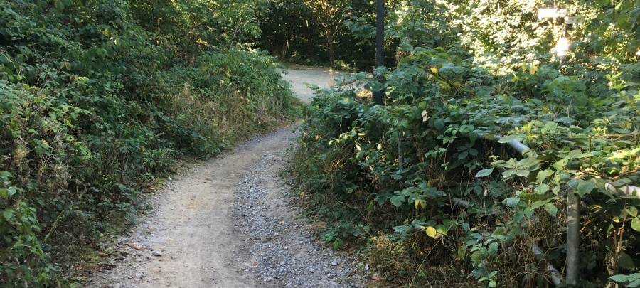 Kesselbachtal in Essen