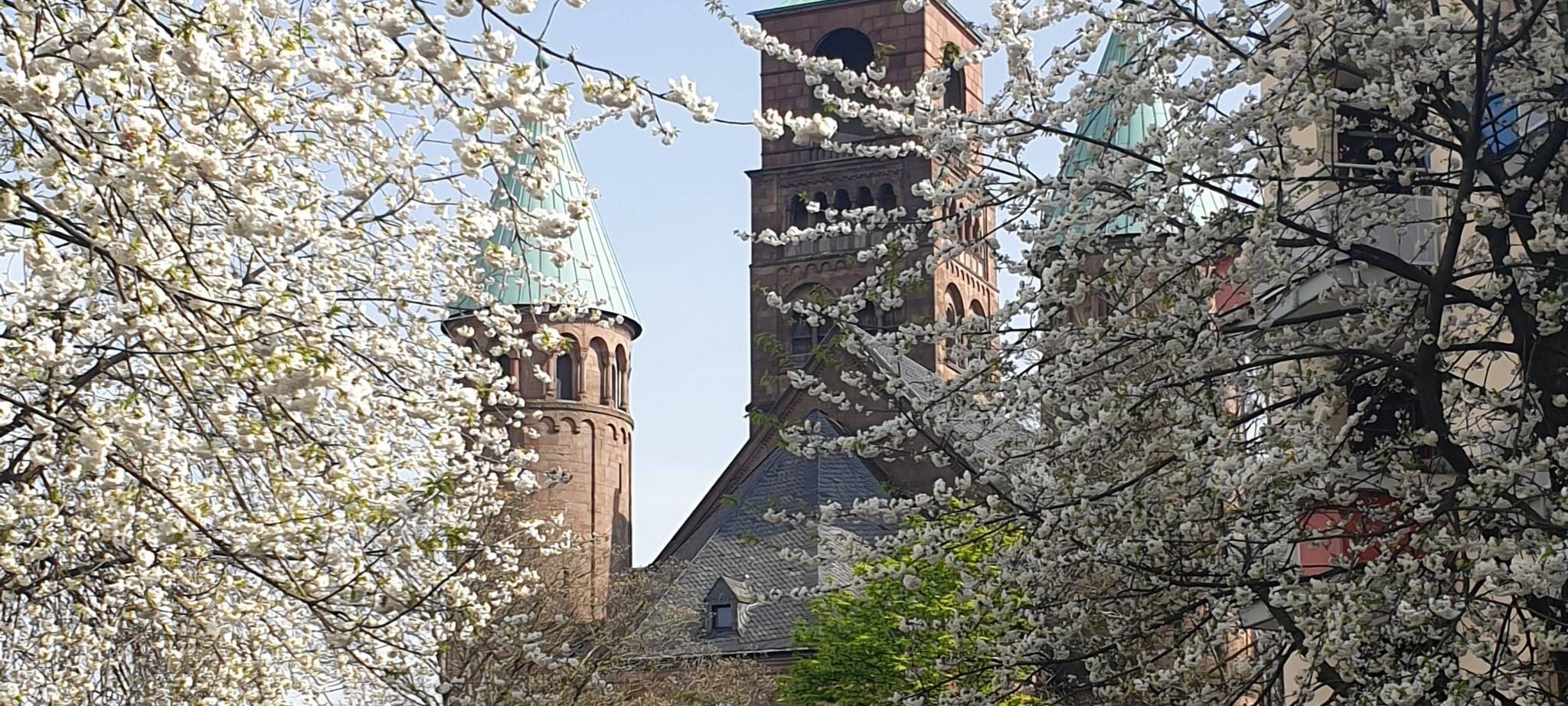 Podcast: Pfarrer in Essen erzählt Bibelgeschichten mal anders