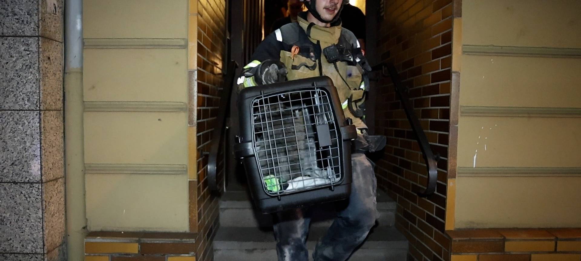 Feuerwehr Essen rettet Katze aus Kamin