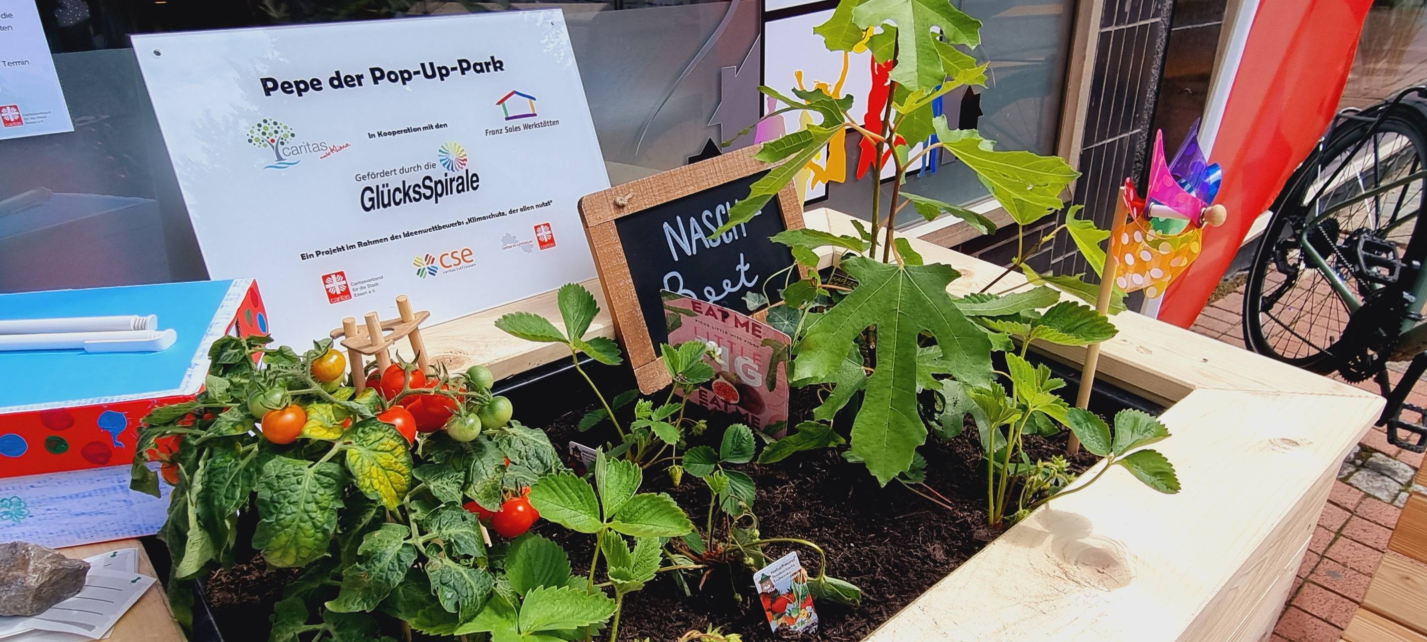 Pop-Up Park in Essen: Stadtteile sollen schöner werden