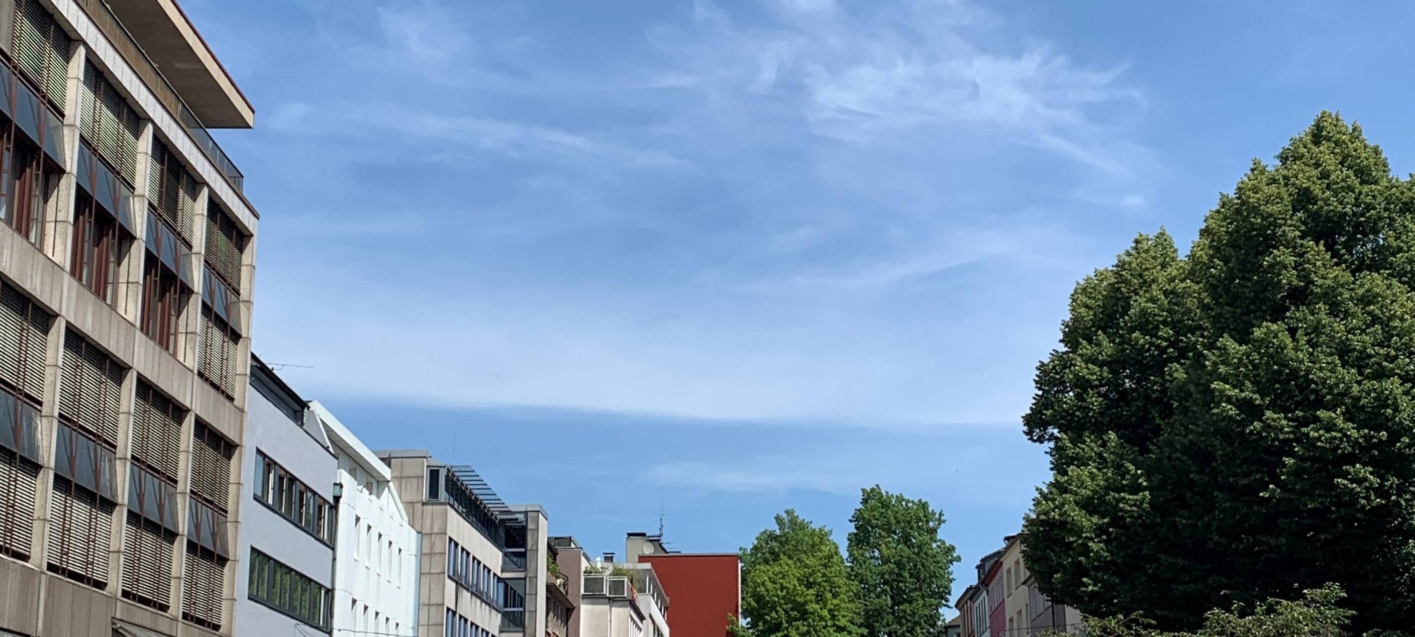 AfD-Bundesparteitag in Essen - Ticker für den Überblick