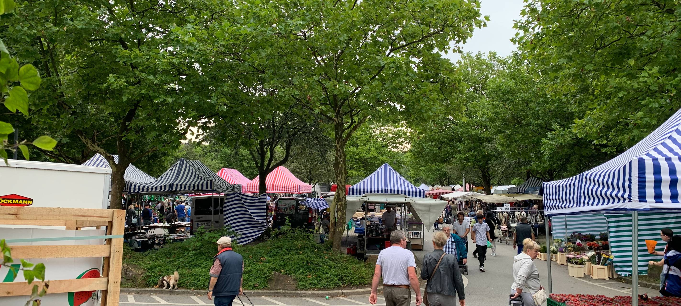 Wochenmarkt in Essen wird größer - neue Händler kommen dazu