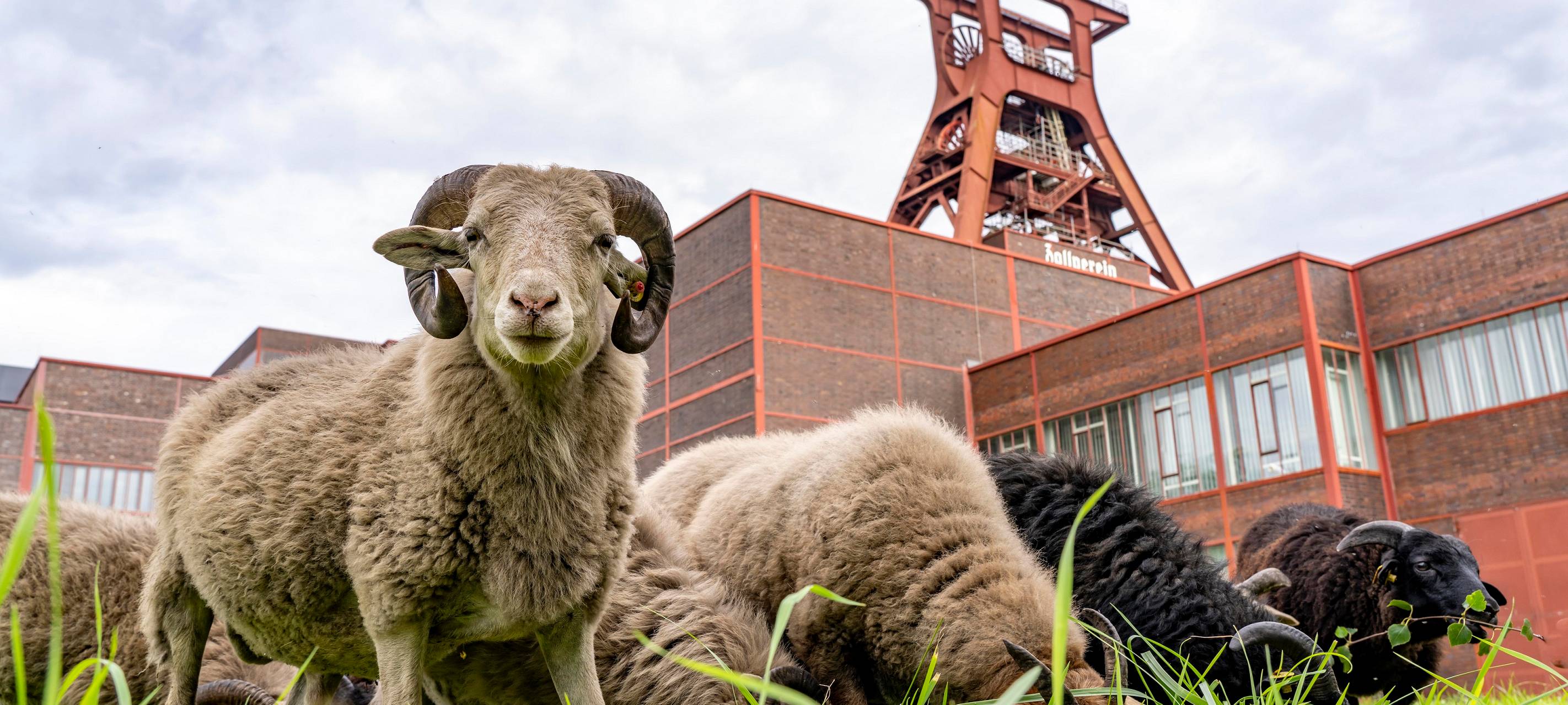 Essen: UNESCO-Welterbe gewinnt Nachhaltigkeitspreis