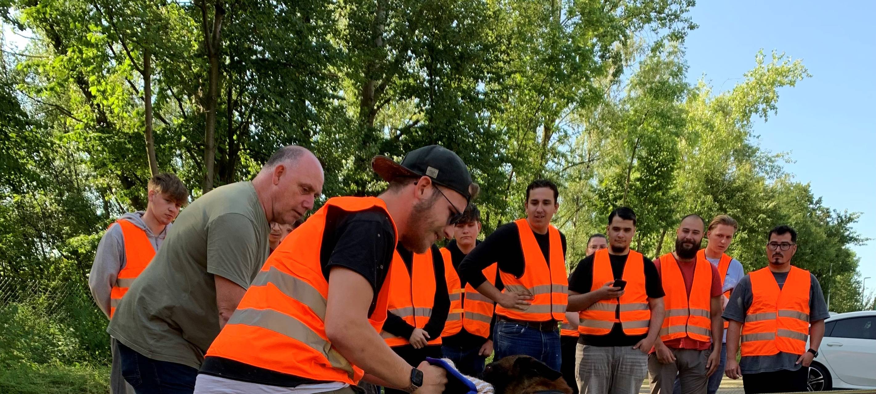 Post in Essen trainiert Azubis gegen Hundeattacken