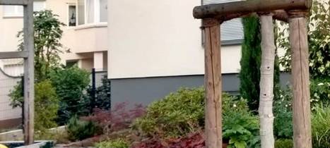 Neue Bäume in Essen werden gegossen