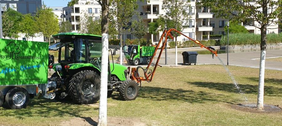 Neue Bäume in Essen werden gegossen