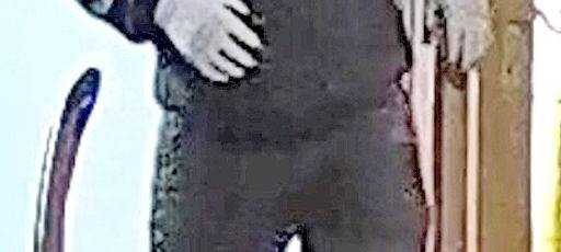 Mutmaßlicher Einbrecher in Essen-Huttrop