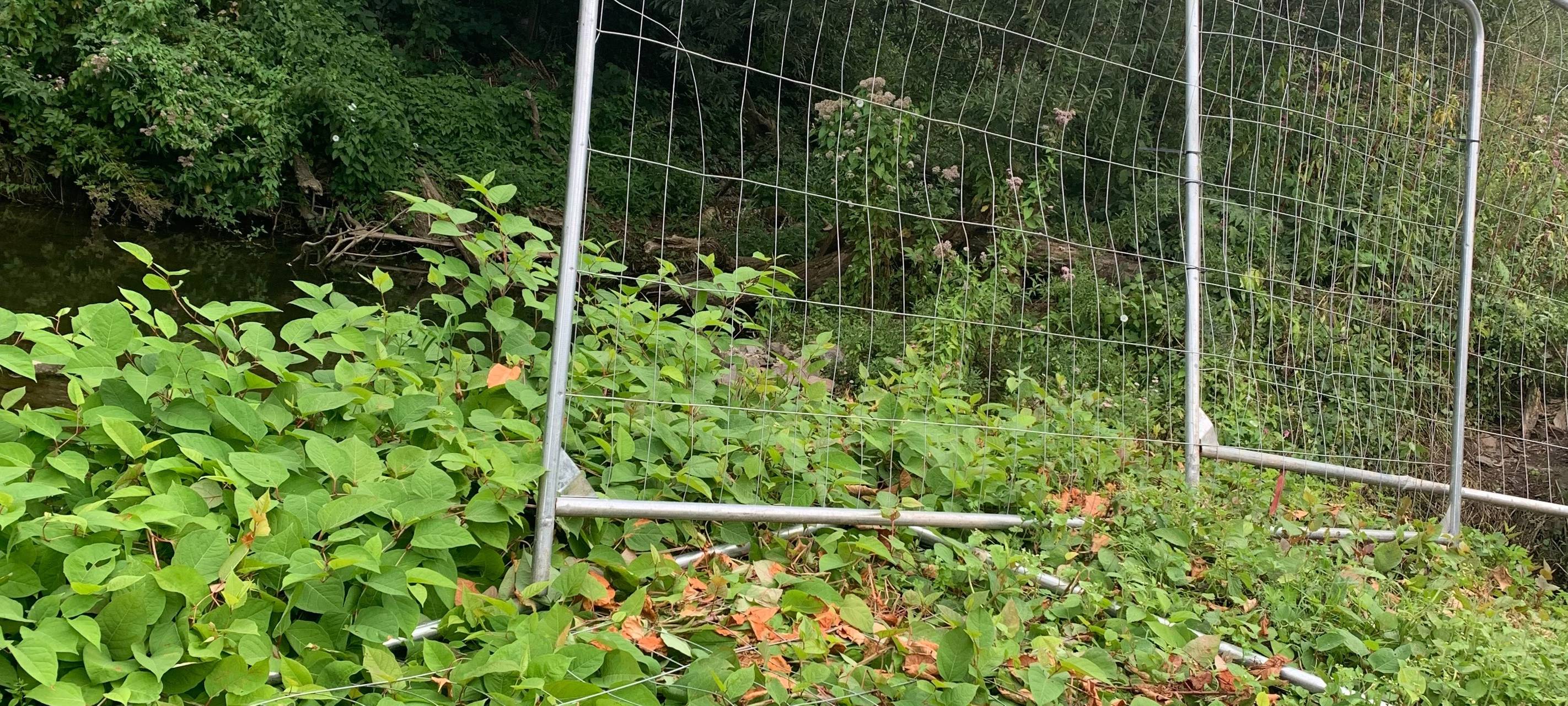 Eskalation um Baustelle in Essen: Radfahrer greifen Bauarbeiter an
