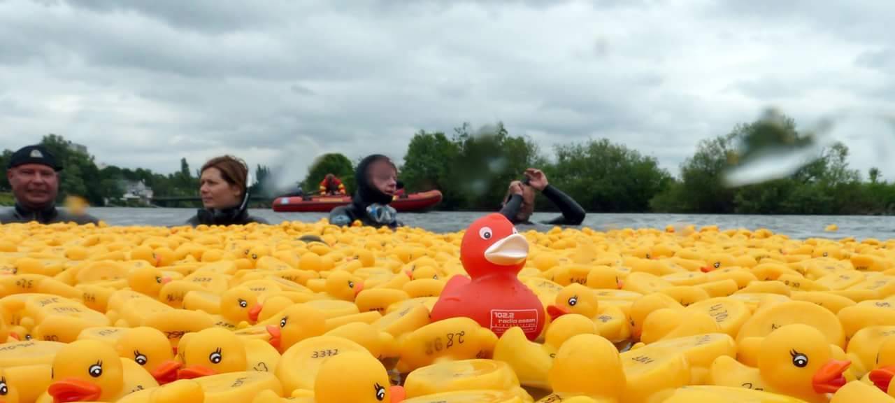 In Essen gehen 7777 Enten baden