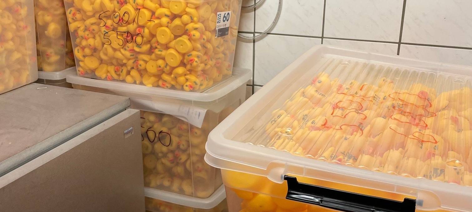 In Essen gehen 7777 Enten baden