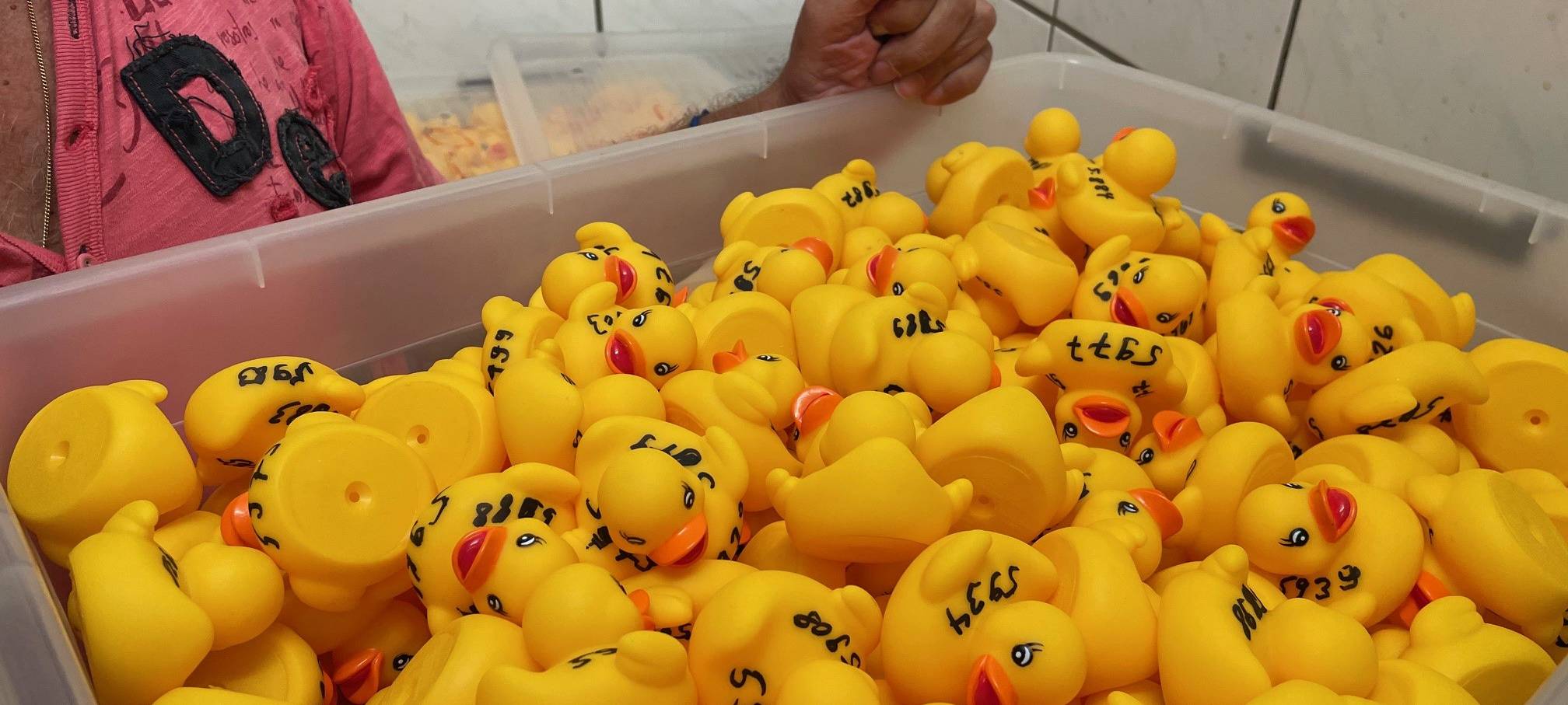 In Essen gehen 7777 Enten baden