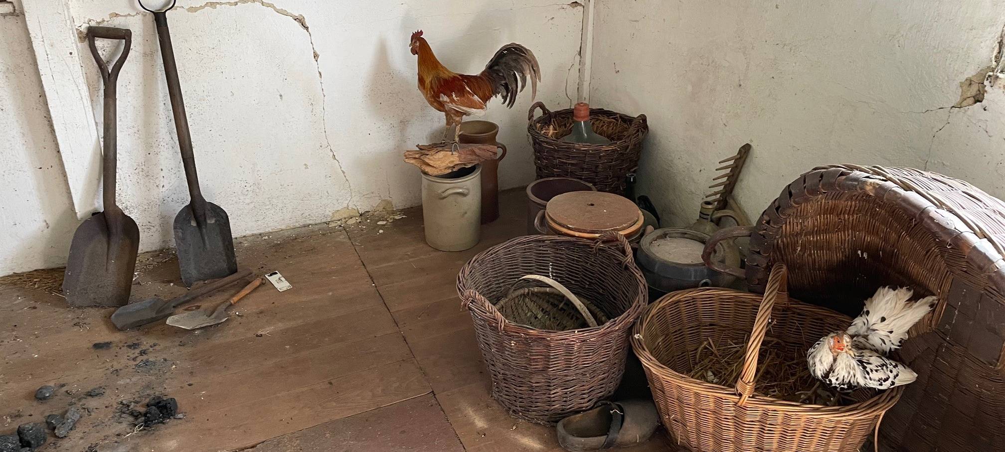 Viele Gebäude aus Essen beim Tag des offenen Denkmals dabei