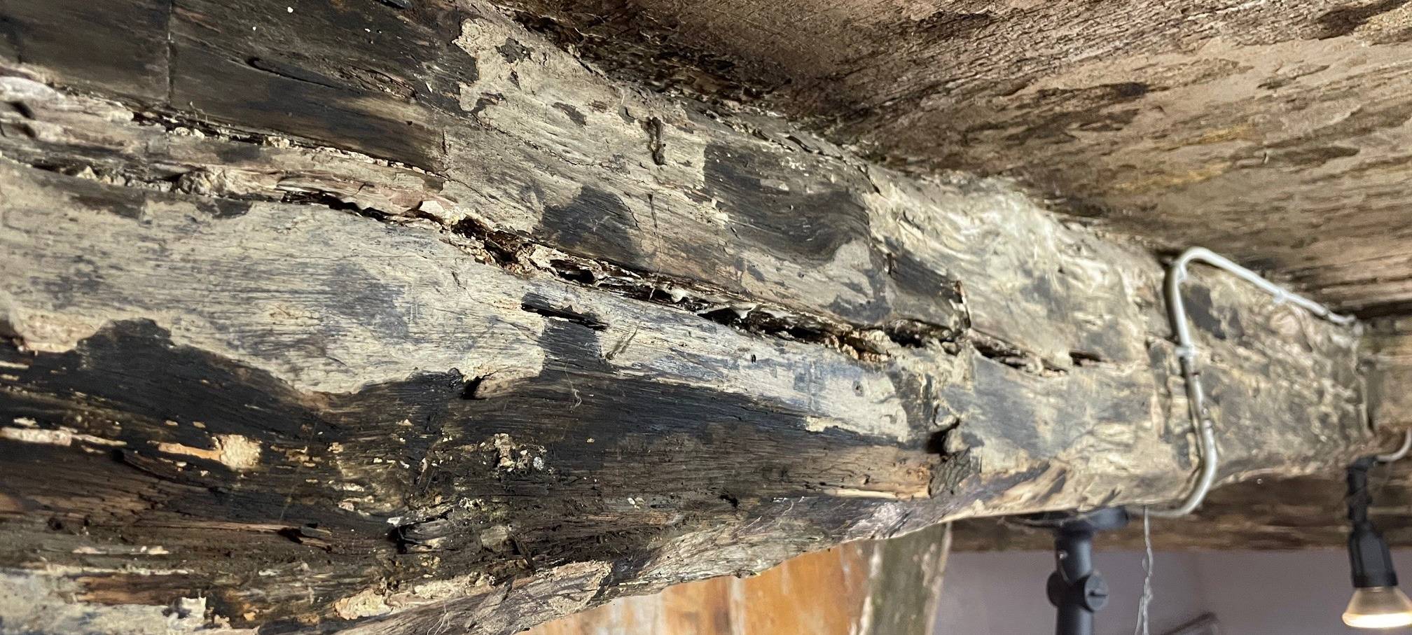 Viele Gebäude aus Essen beim Tag des offenen Denkmals dabei