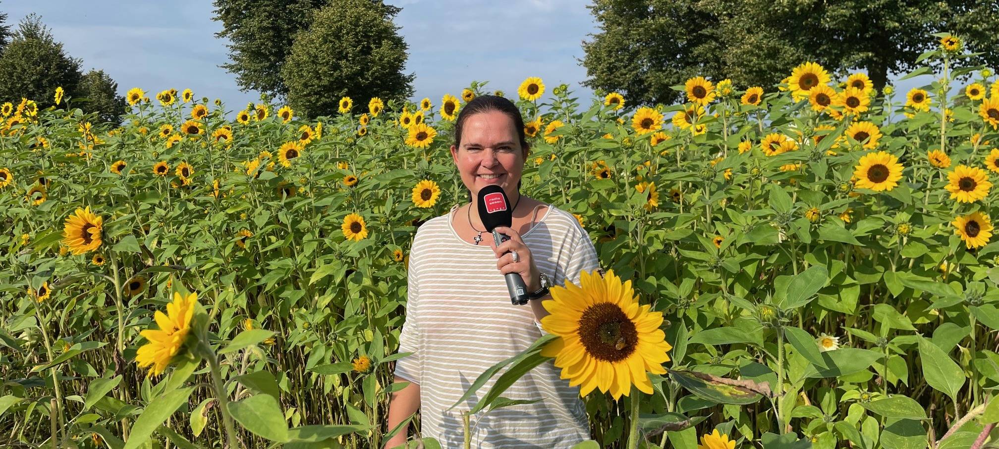 Essen feiert das Sonnenblumenfest - Den Blumen auf der Spur