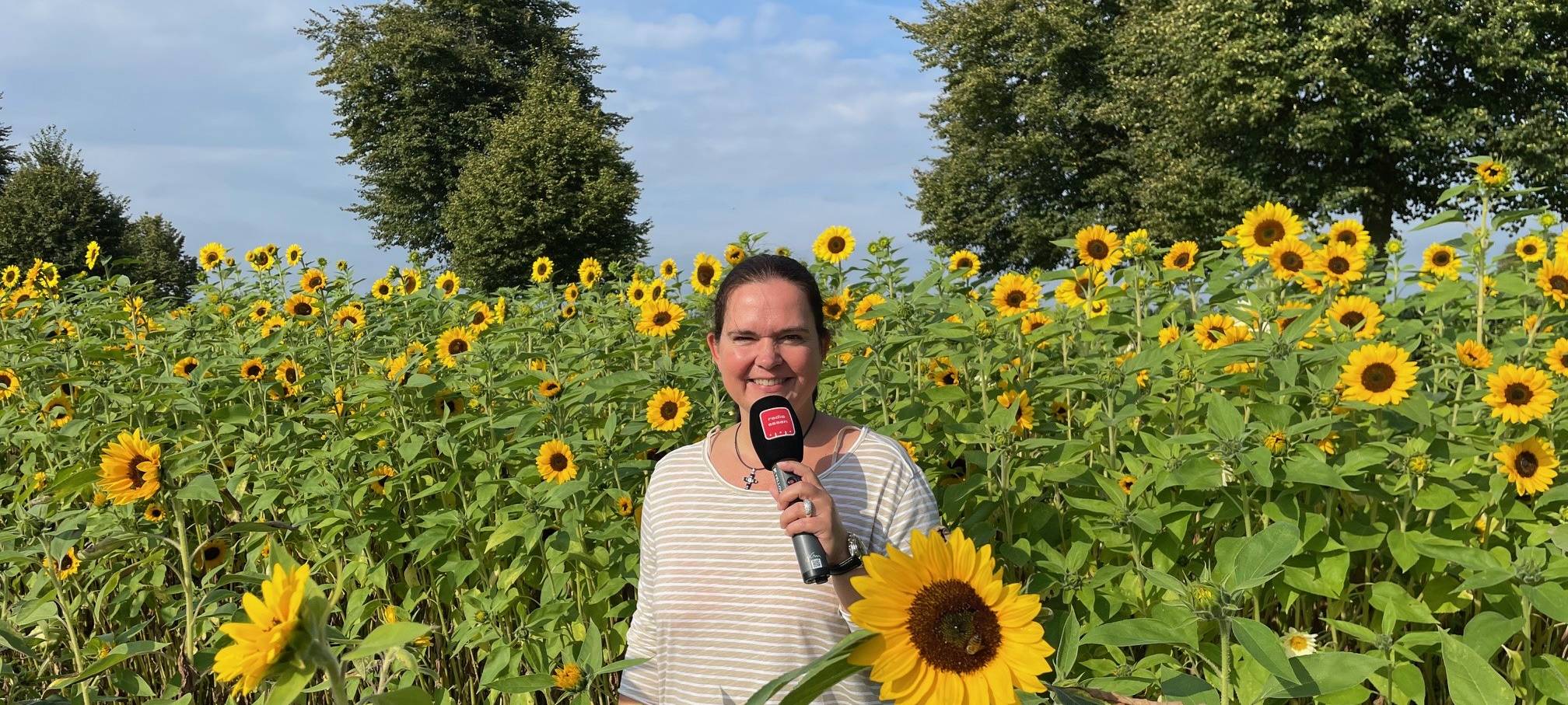 Essen feiert das Sonnenblumenfest - Den Blumen auf der Spur