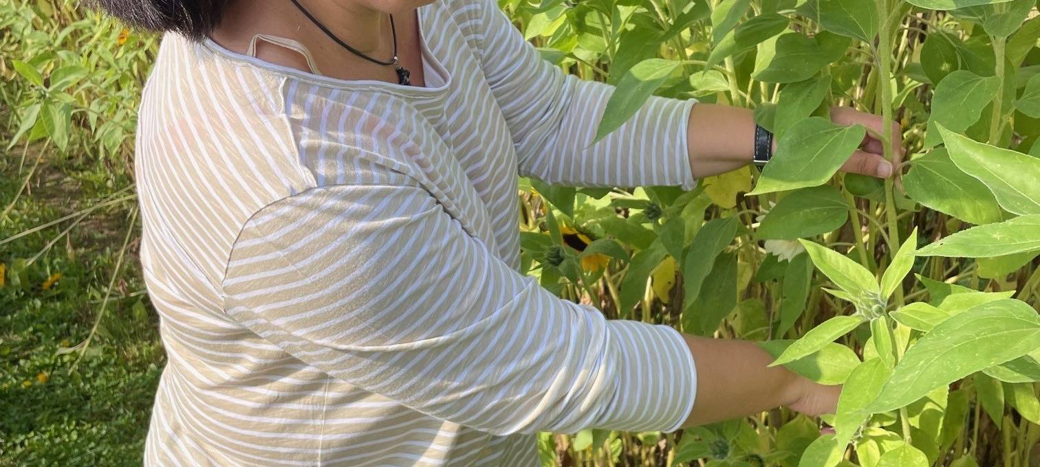 Essen feiert das Sonnenblumenfest - Den Blumen auf der Spur