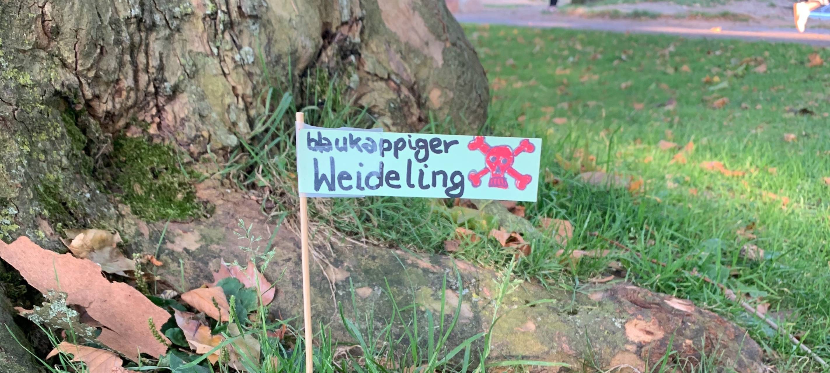 Demo gegen AfD in Essen - Die Eindrücke vor Ort