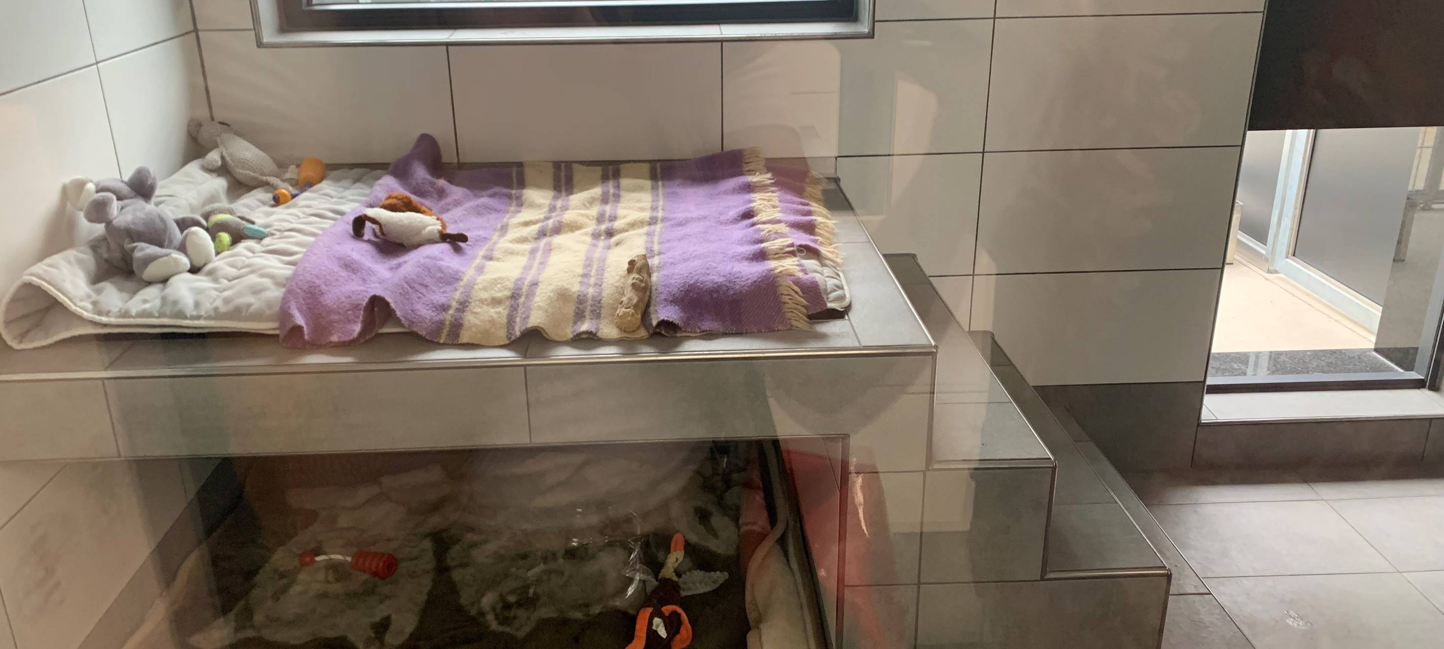 Tierheim Essen bekommt neue Hundekrankenstation