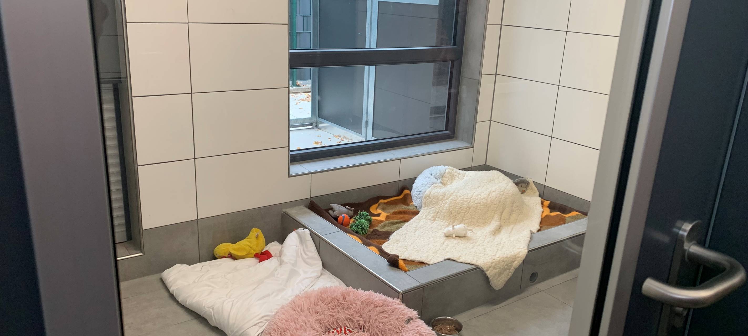 Tierheim Essen bekommt neue Hundekrankenstation