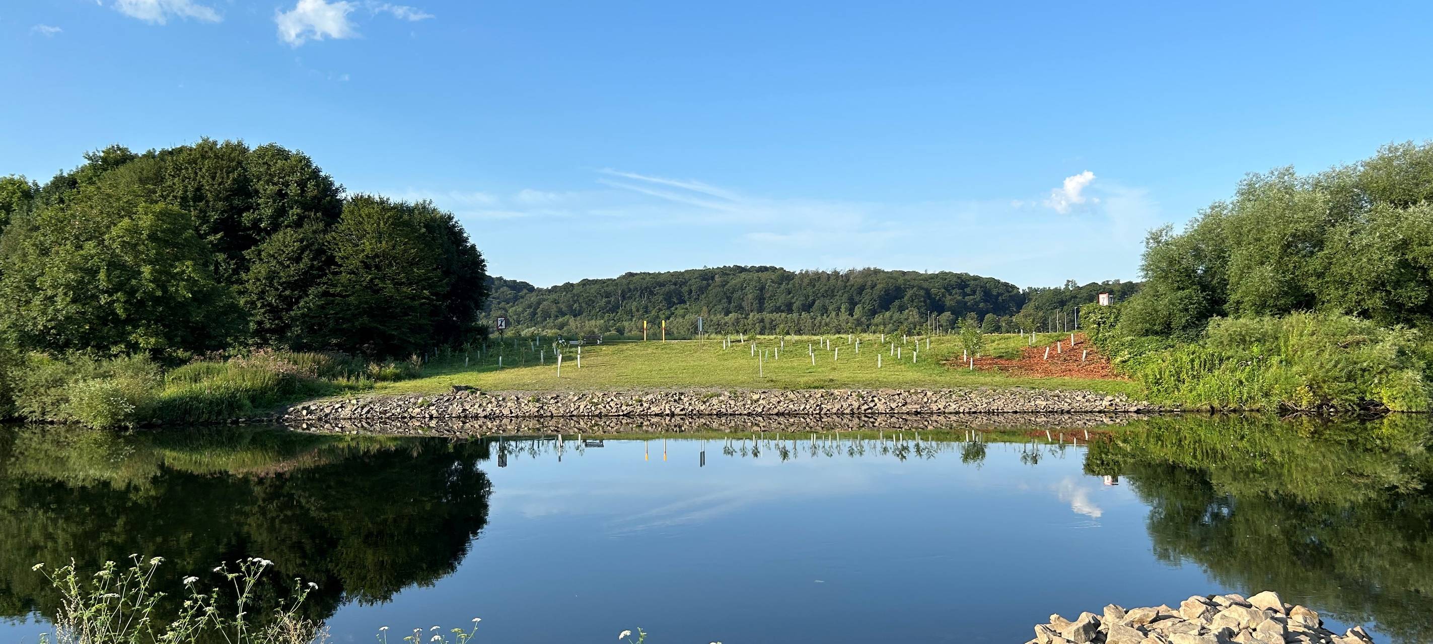Der Sommer in Essen - So war er auf dem Feld und an der Ruhr