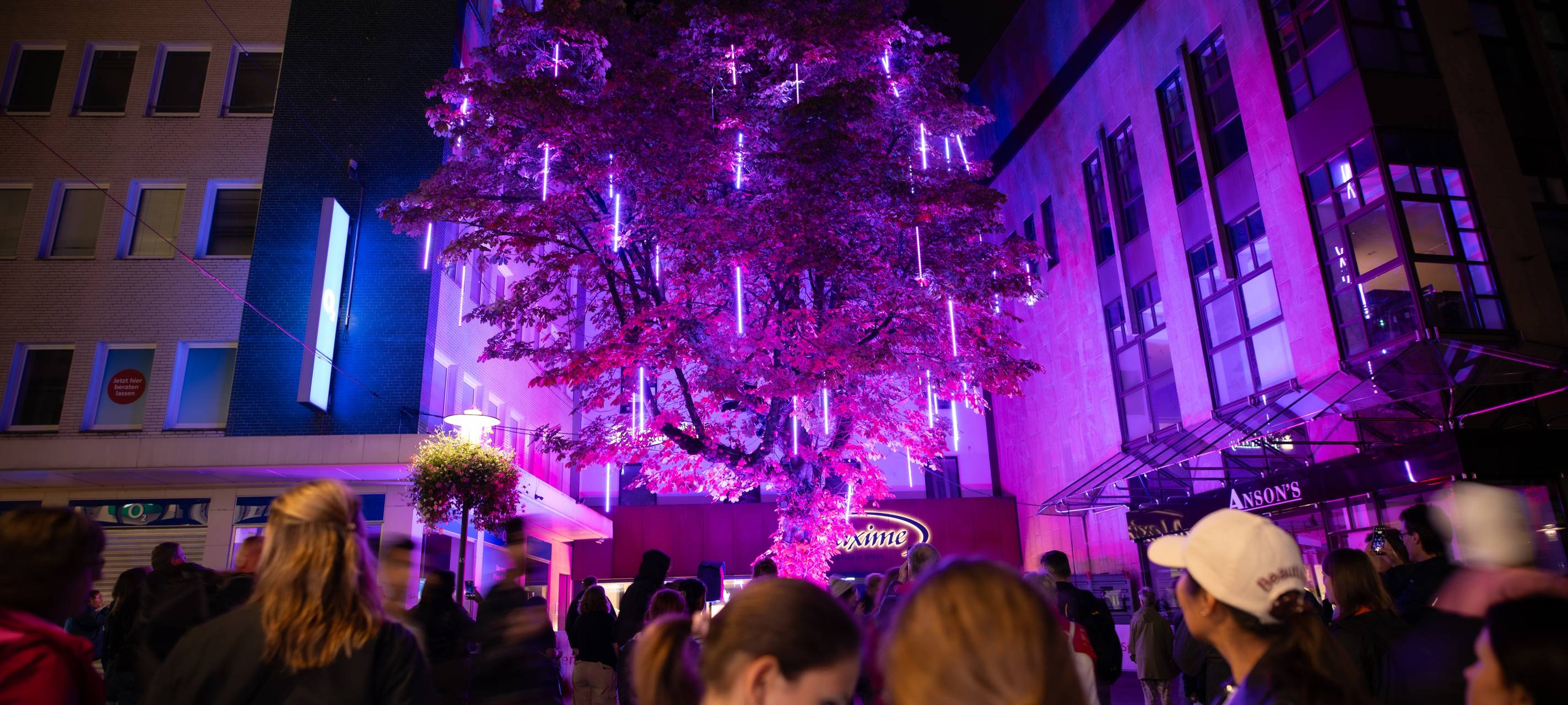Essen Light Festival 2024 - Baum der Wünsche