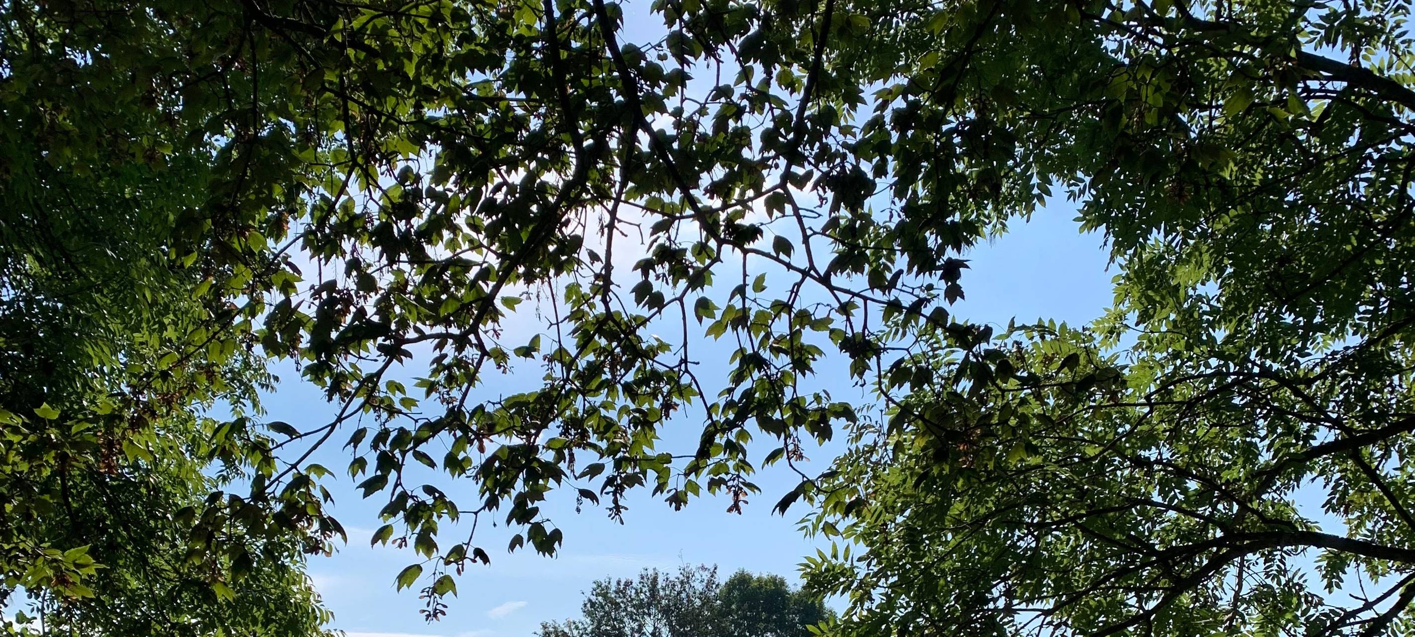 Freibad in Essen: Erste Saison nach Hochwasser beendet