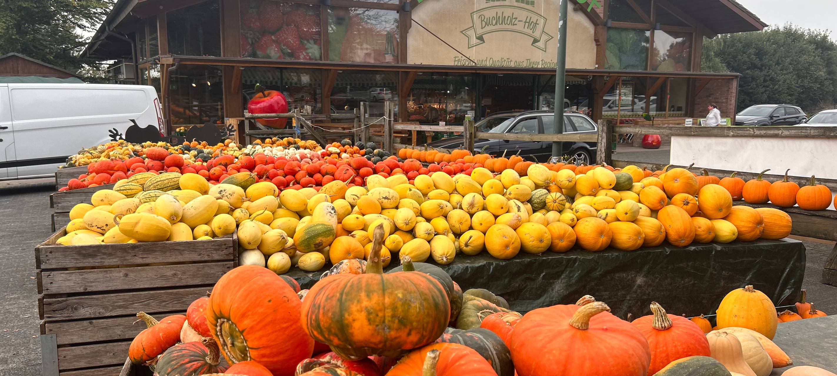Herbst in Essen - Die perfekten Fotospots rund um die goldene Jahreszeit