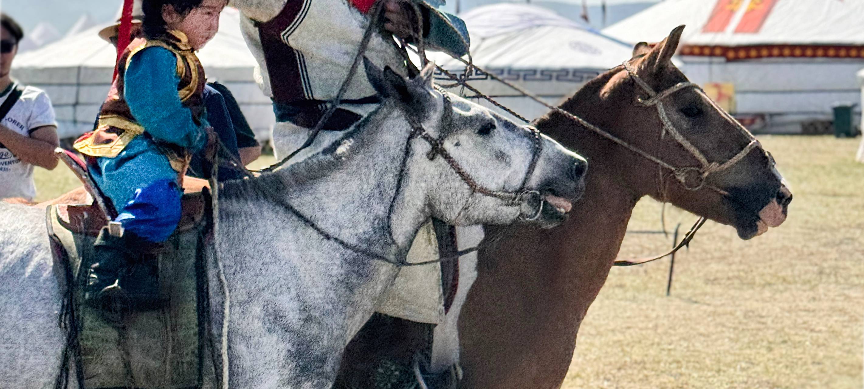 Künstler aus Essen in der Mongolei: Geschichten aus einer anderen Welt