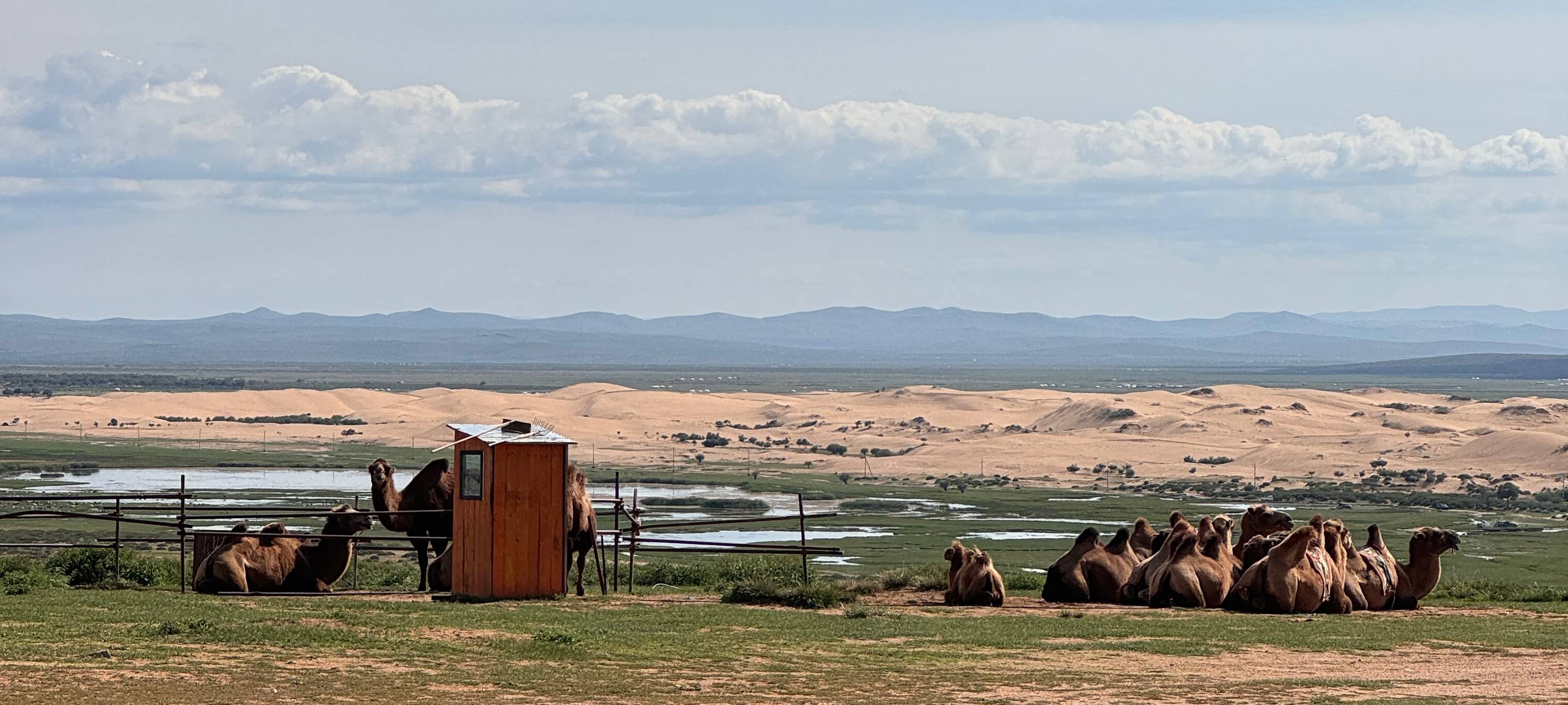 Künstler aus Essen in der Mongolei: Geschichten aus einer anderen Welt
